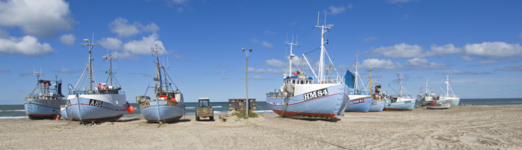 Sommerhus  Landal Grnhj Strand